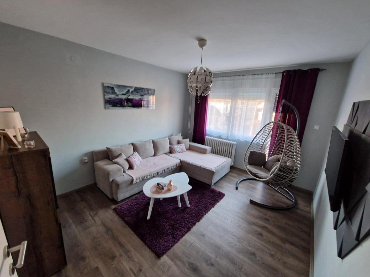 Grey & Sunny Apartments Zajecar Exterior photo